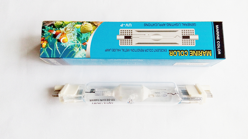 Marine Aquarium Live Sand - DENIZ RENGI 250 w 10 k