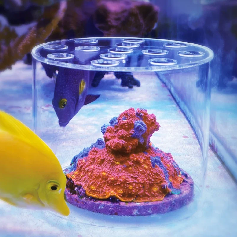 Coral Frag Plug - Vastocean Akvaryum Akrilik Mercan Besleyici Başlığı