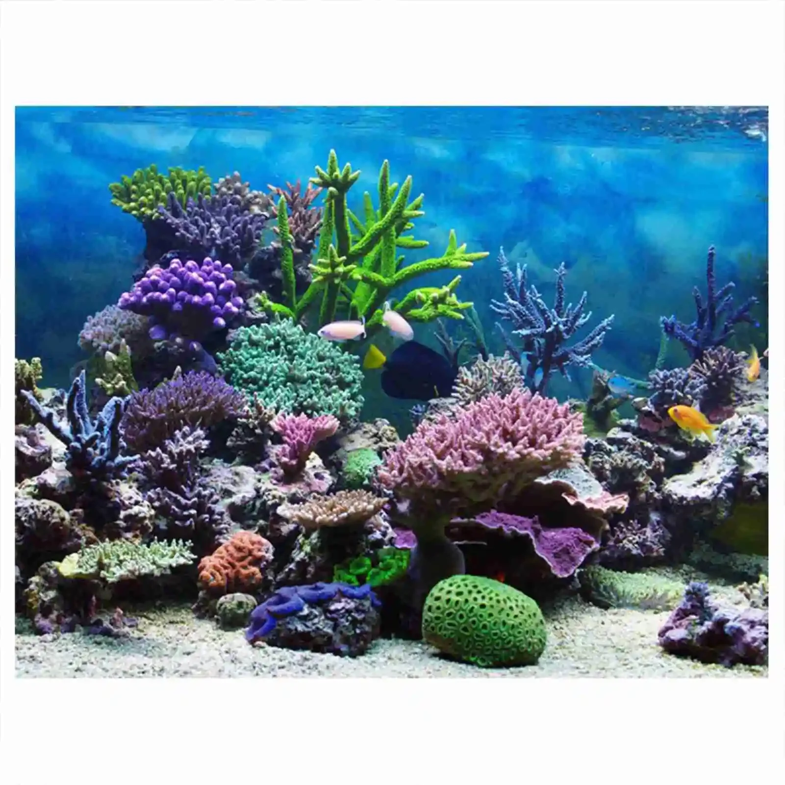 Marine Aquarium Glue - 3D akvaryum manzara Poster Rainforest duvar