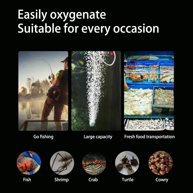 Mini akvaryum hava pompası kit - Marine Aquarium Kit incelemesi ve fiyatı