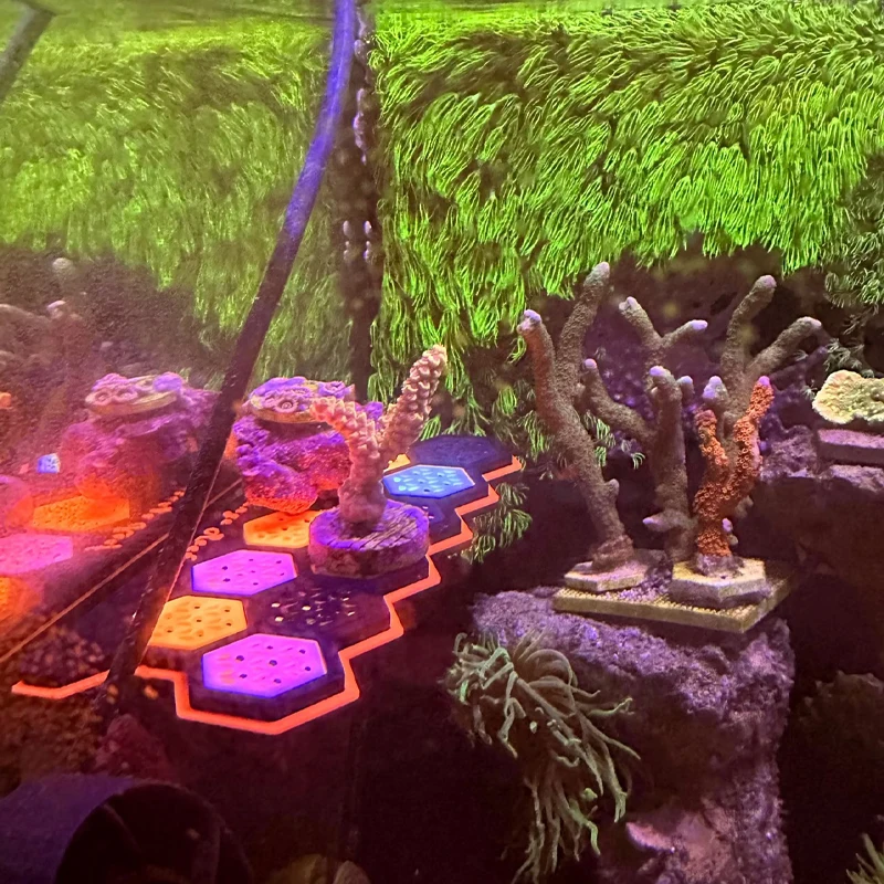 Akvaryum Floresan Manyetik Mer - Coral Frag Plug incelemesi ve fiyatı