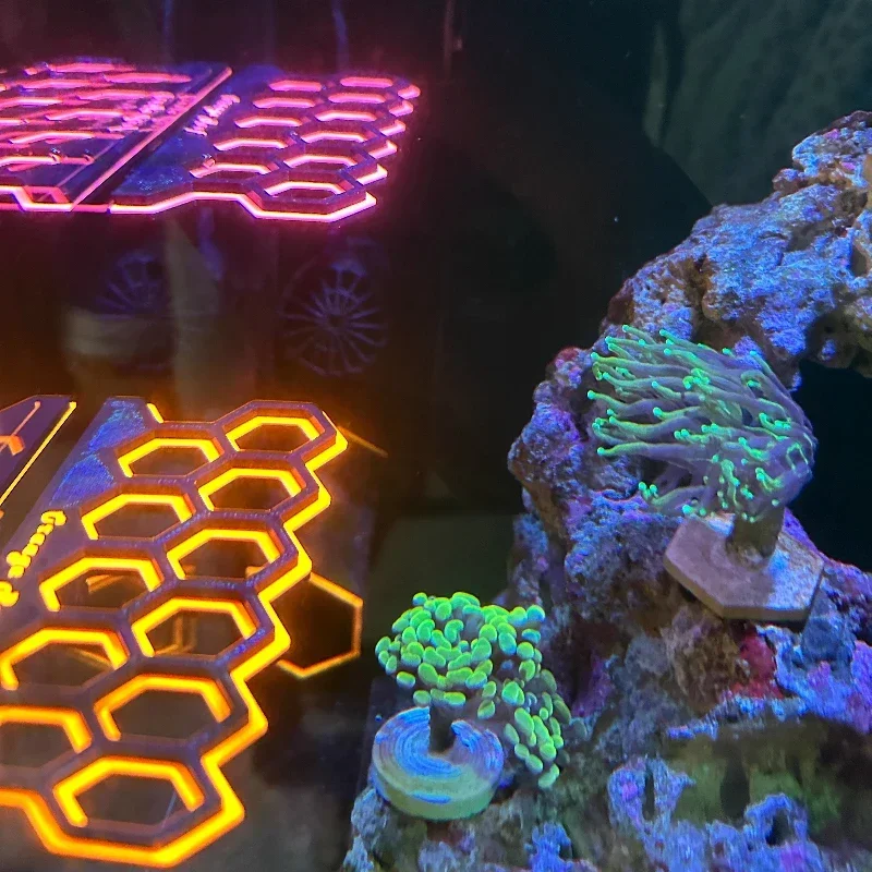 Akvaryum Floresan Manyetik Mer - Coral Frag Plug incelemesi ve fiyatı