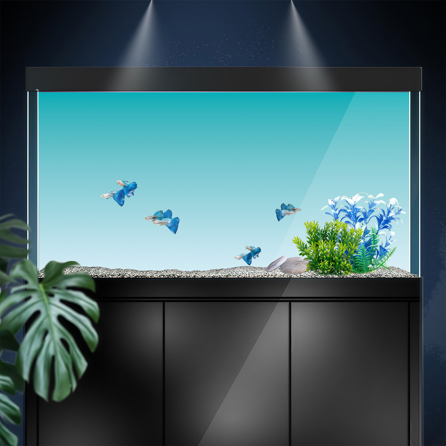 Mavi ve Beyaz Gradyan, Balık T - Marine Aquarium Glue incelemesi ve fiyatı