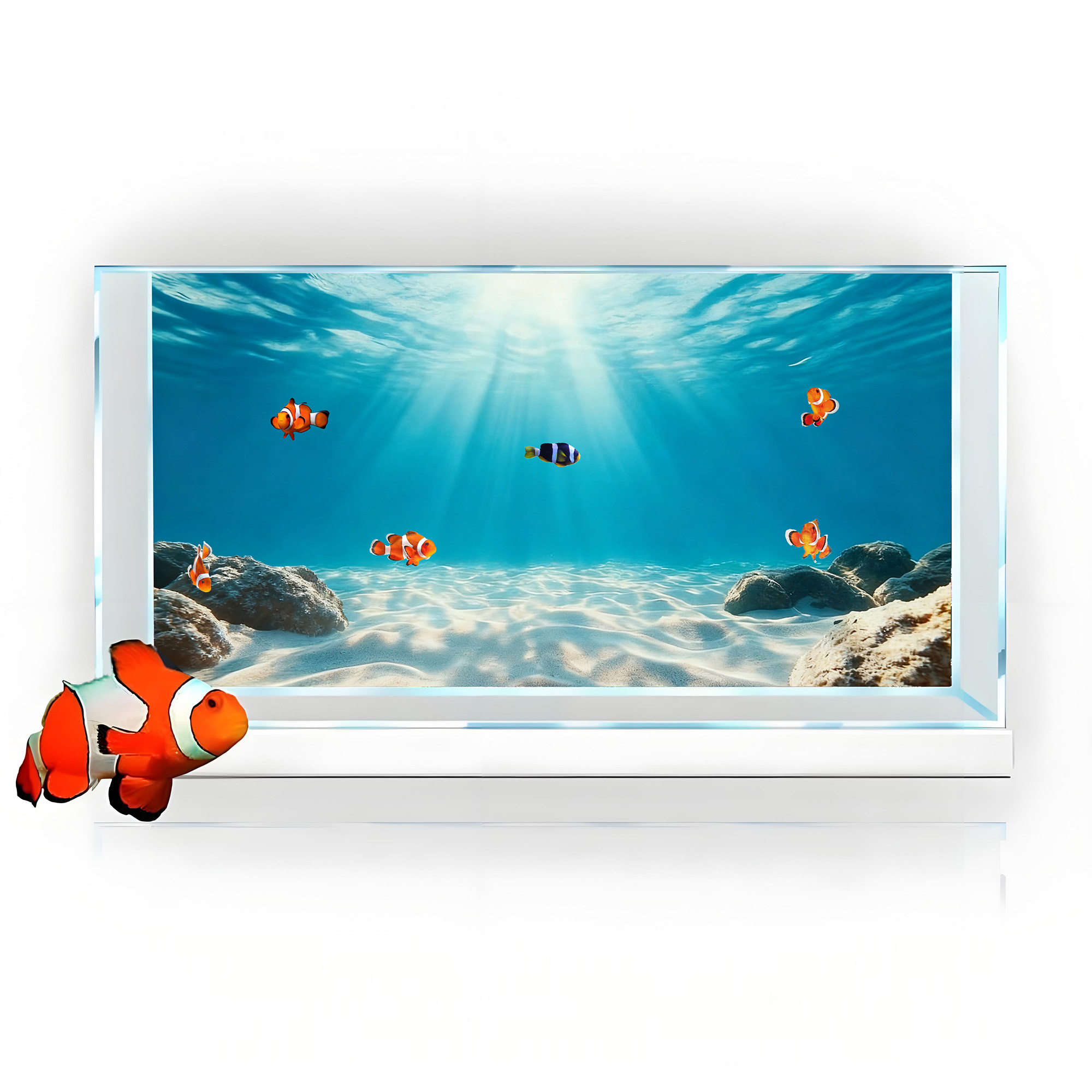 Mavi Deniz Şeffaf Kum, Balık T - Marine Aquarium Glue incelemesi ve fiyatı
