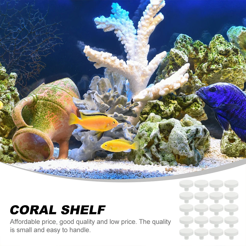 20 adet Mercan Tutkal Resif Gü - Coral Frag Plug incelemesi ve fiyatı