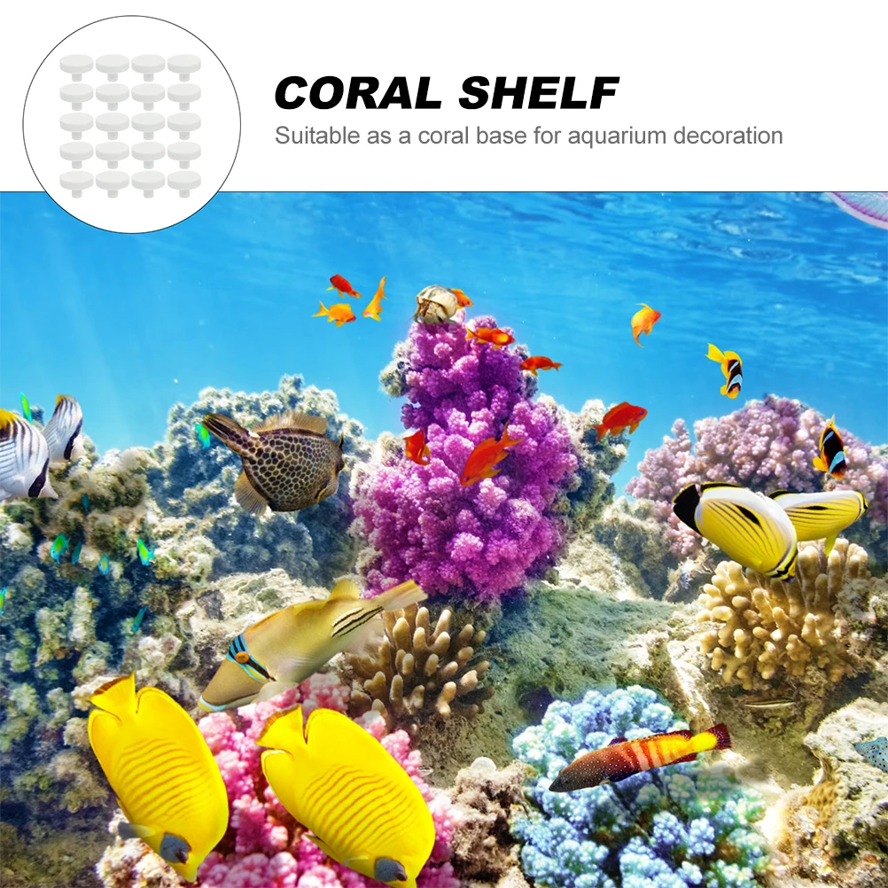 20 adet Mercan Tutkal Resif Gü - Coral Frag Plug incelemesi ve fiyatı