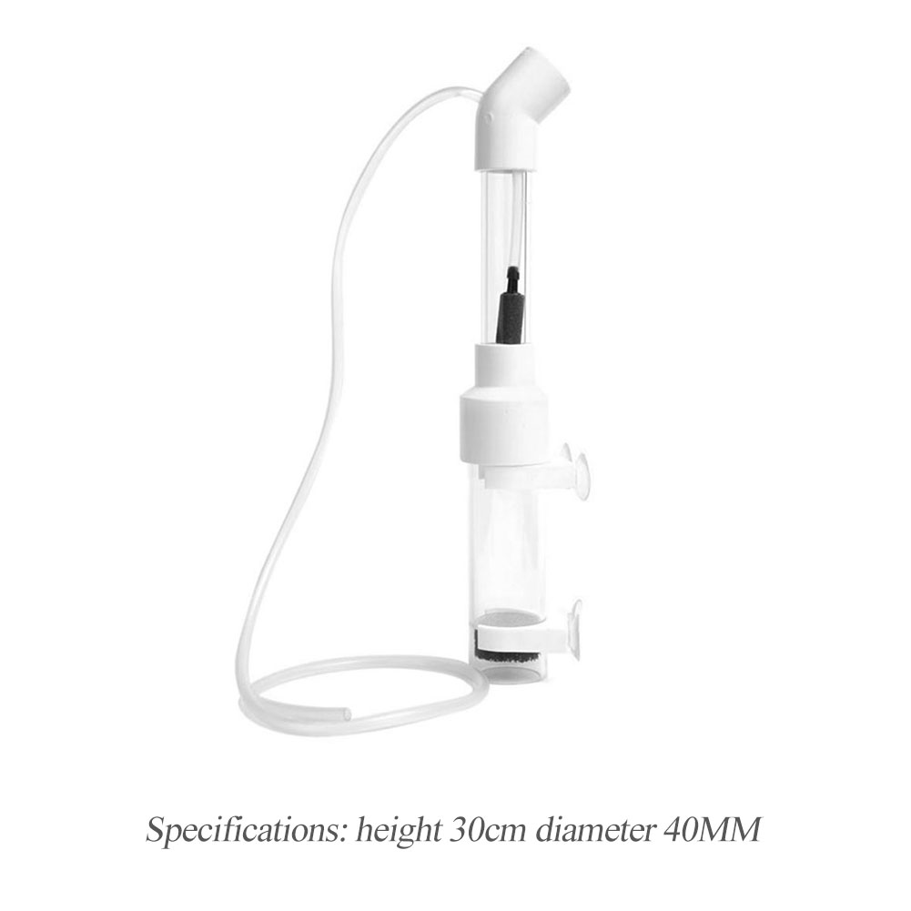 40mm Akvaryum Çiklitleri Kuluç - Marine Aquarium Kit incelemesi ve fiyatı