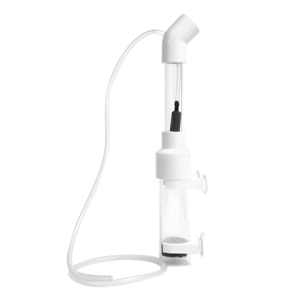 40mm Akvaryum Çiklitleri Kuluç - Marine Aquarium Kit incelemesi ve fiyatı