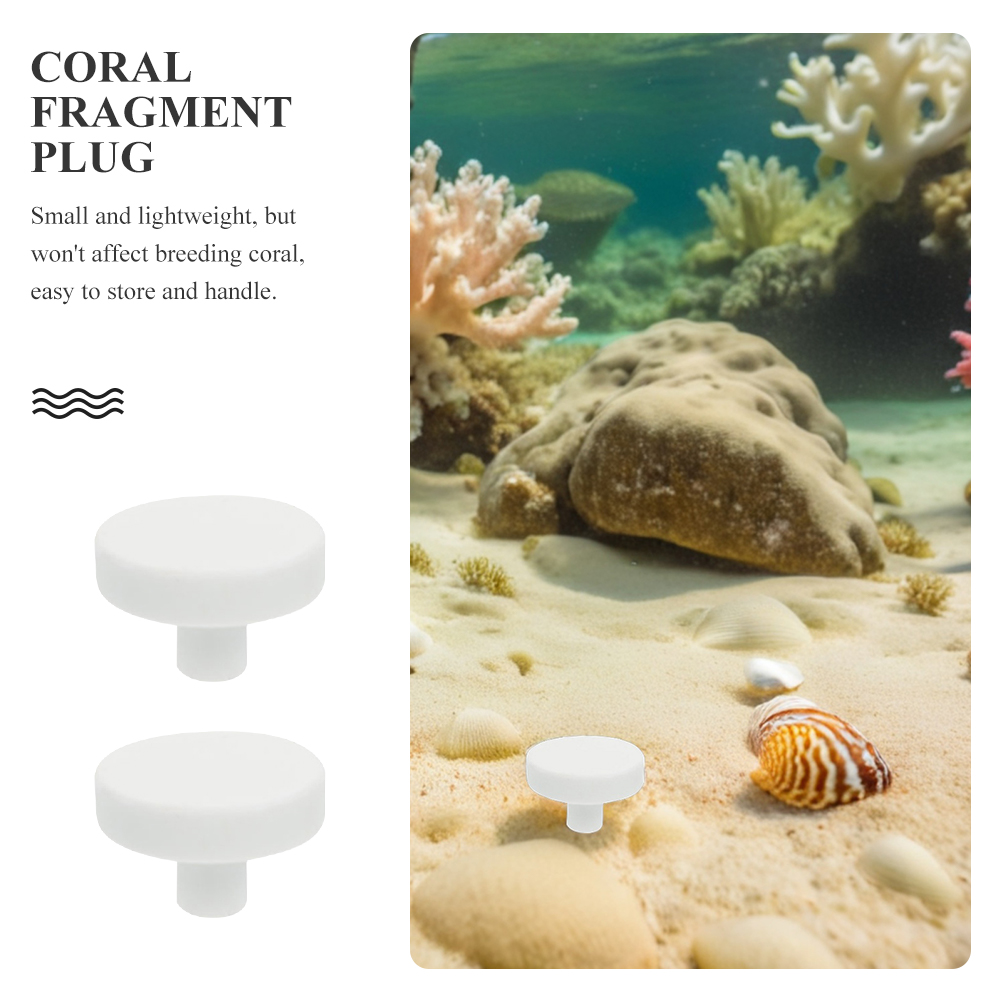 20 Adet Akvaryum Mercan Standı - Coral Frag Plug incelemesi ve fiyatı