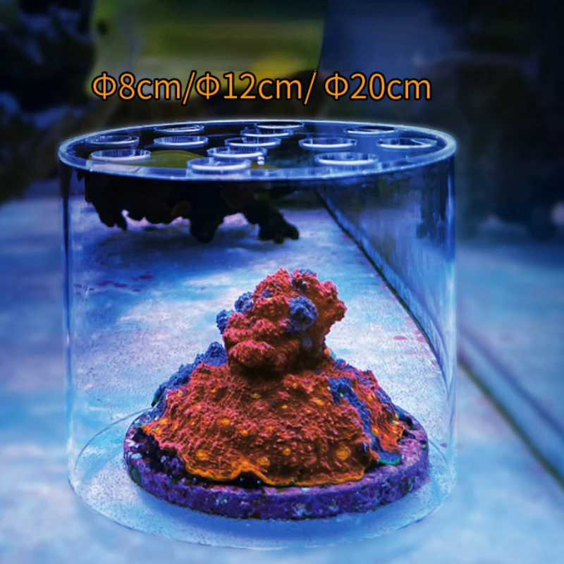 Vastocean Akvaryum Akrilik Mer - Coral Frag Plug incelemesi ve fiyatı