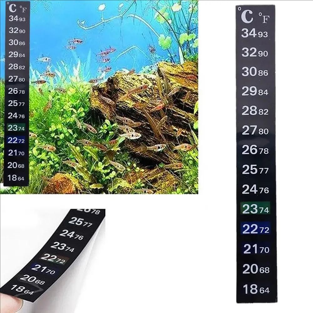 5 adet/10 adet akvaryum balık  - Marine Aquarium Glue incelemesi ve fiyatı