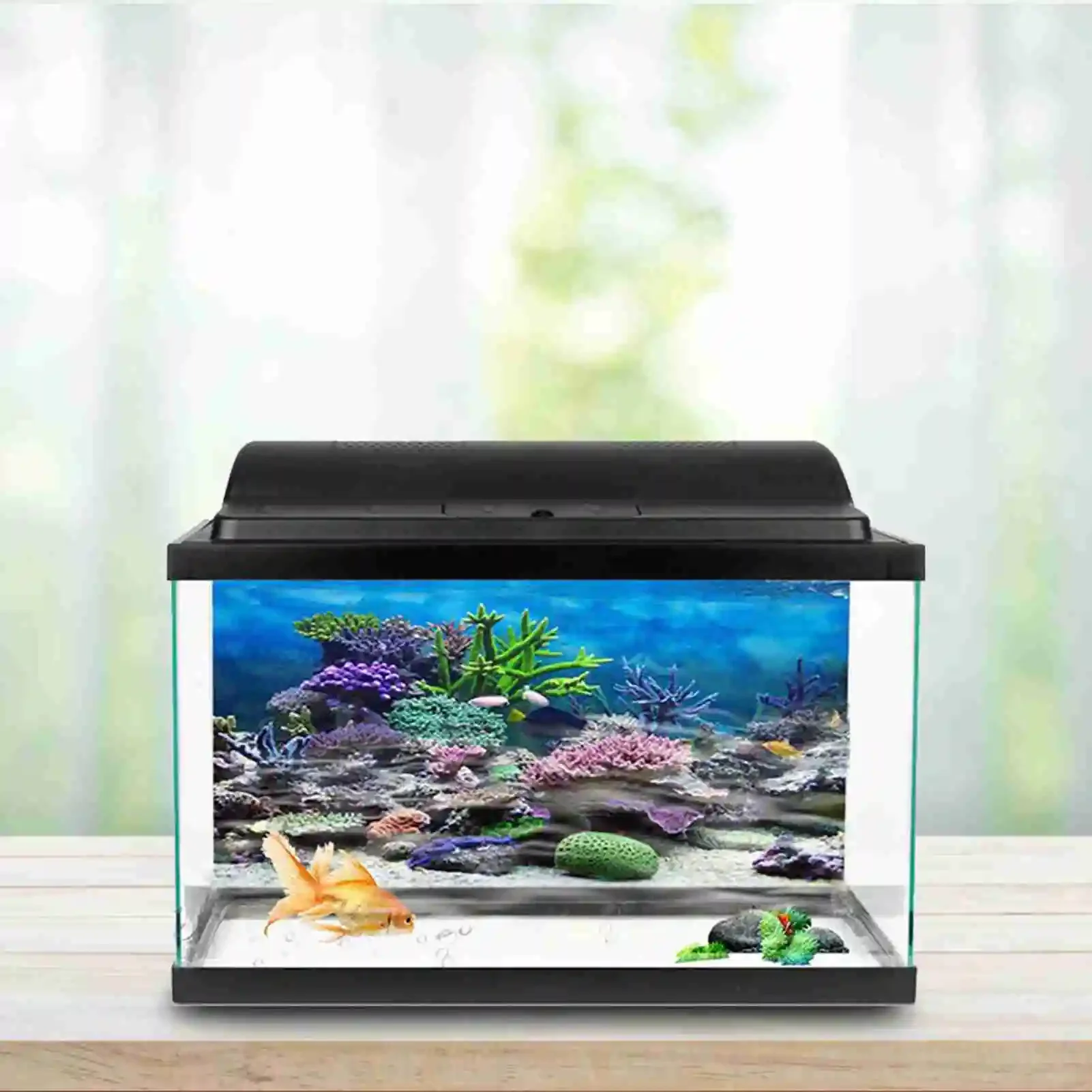 3D akvaryum manzara Poster Rai - Marine Aquarium Glue incelemesi ve fiyatı