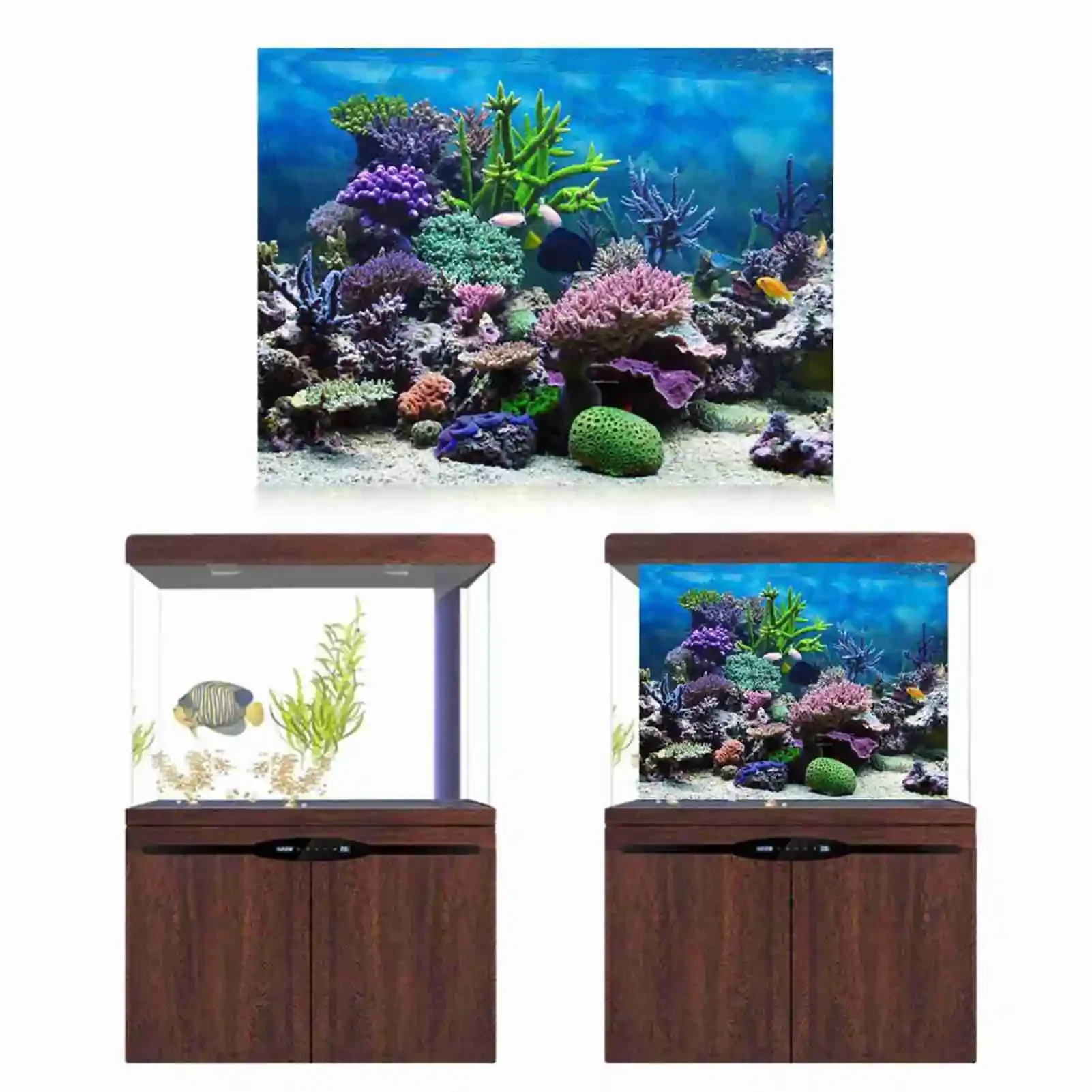 3D akvaryum manzara Poster Rai - Marine Aquarium Glue incelemesi ve fiyatı