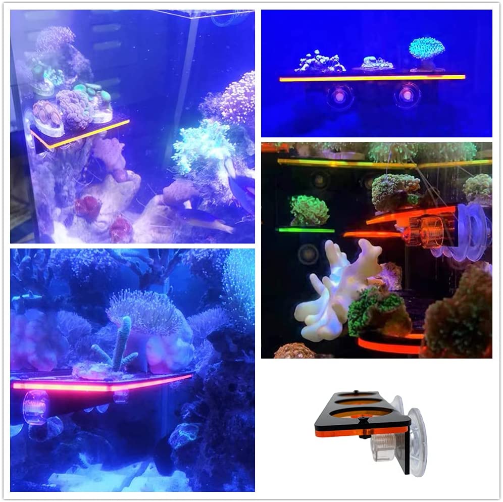Floresan Mercan Frag Fiş Brake - Coral Frag Plug incelemesi ve fiyatı